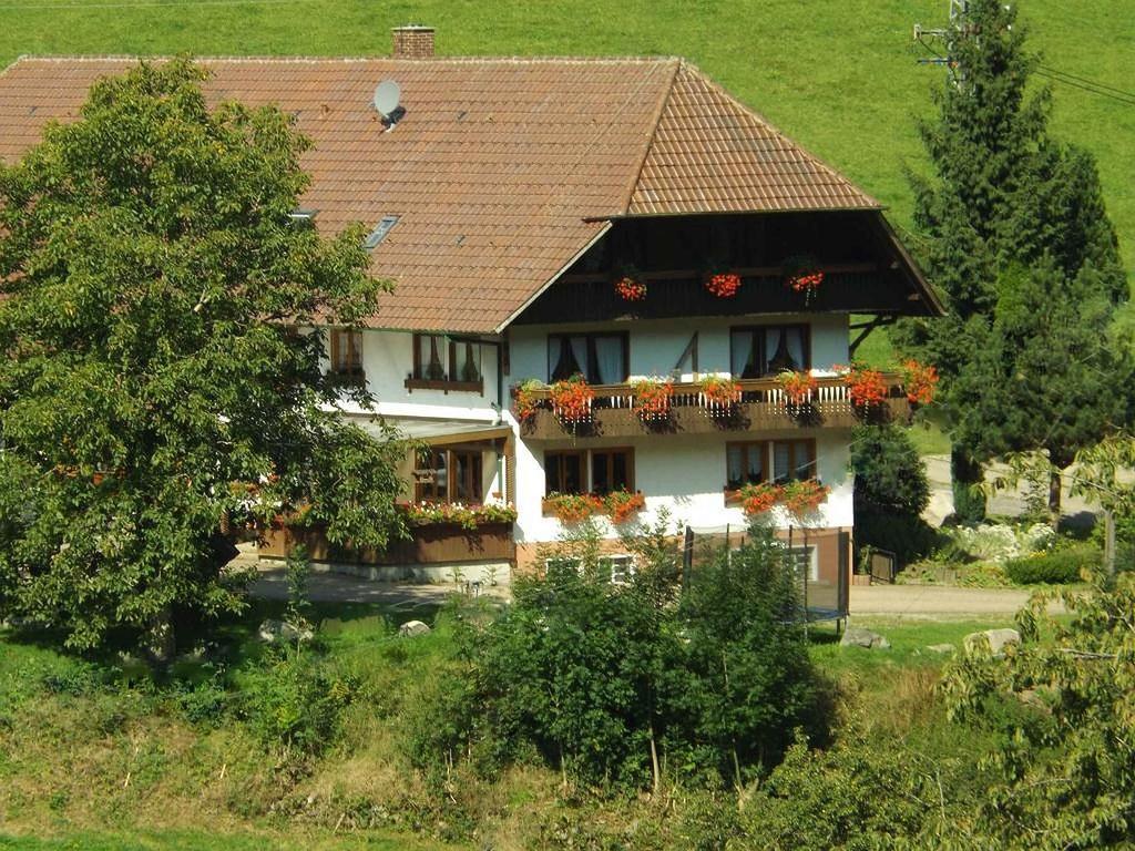OberprechtalSchusselehofアパートメント エクステリア 写真